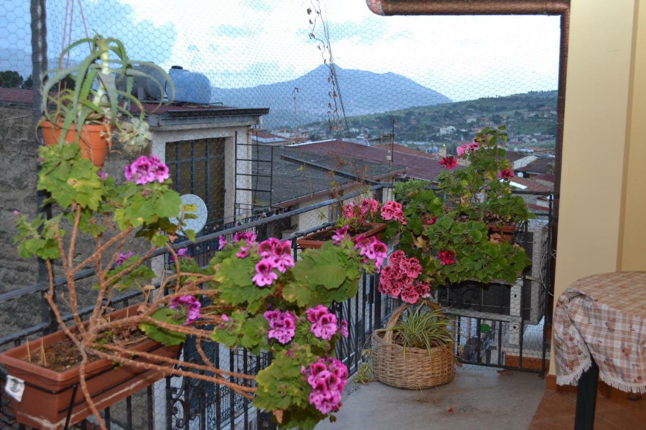 B&B Jolly House Bolognetta Exterior foto